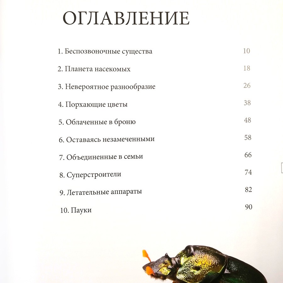 Удивительный мир насекомых