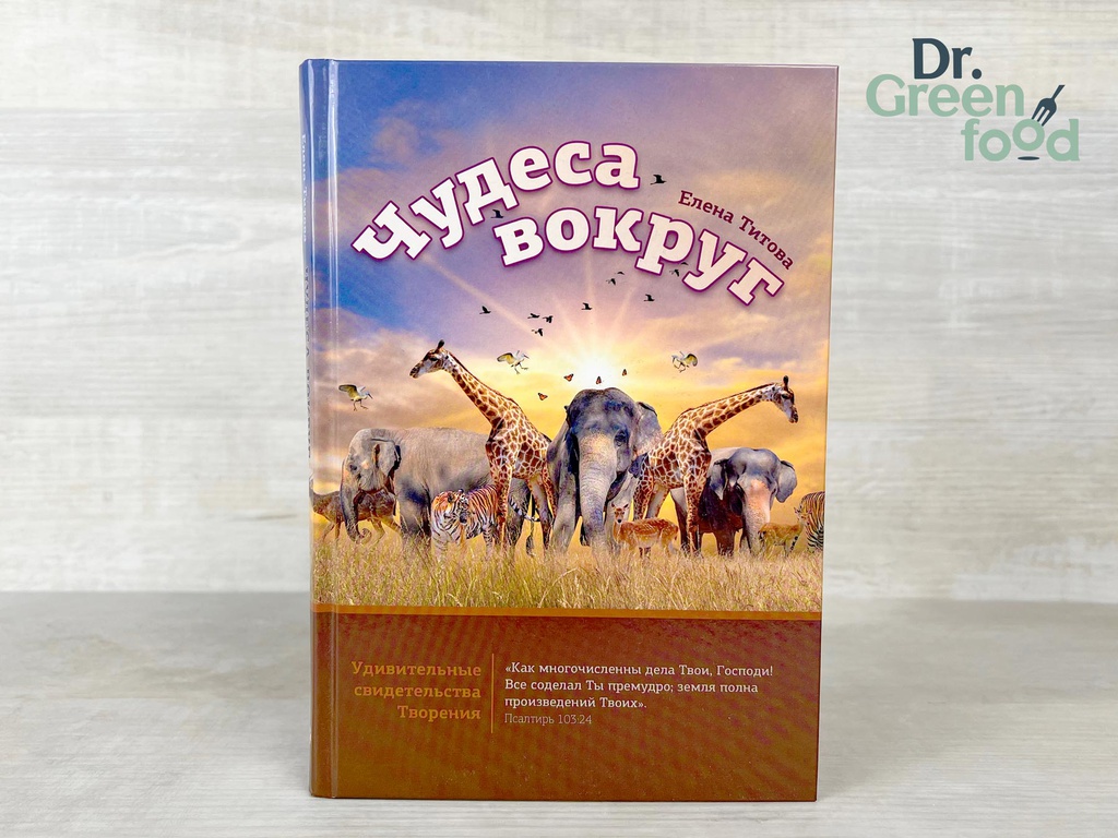 Чудеса вокруг